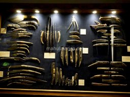 Museos de Albacete 2023